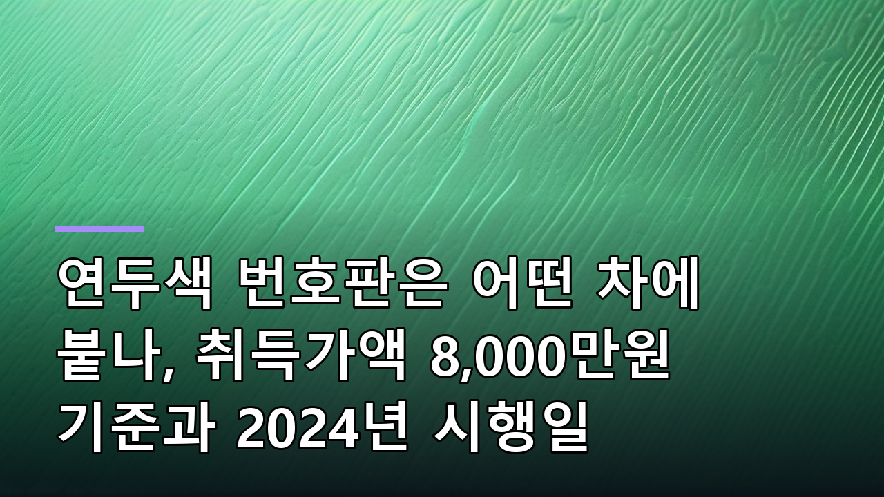 연두색 번호판은 어떤 차에 붙나, 취득가액 8,000만원 기준과 2024년 시행일