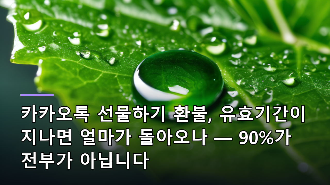 카카오톡 선물하기 환불, 유효기간이 지나면 얼마가 돌아오나 — 90%가 전부가 아닙니다
