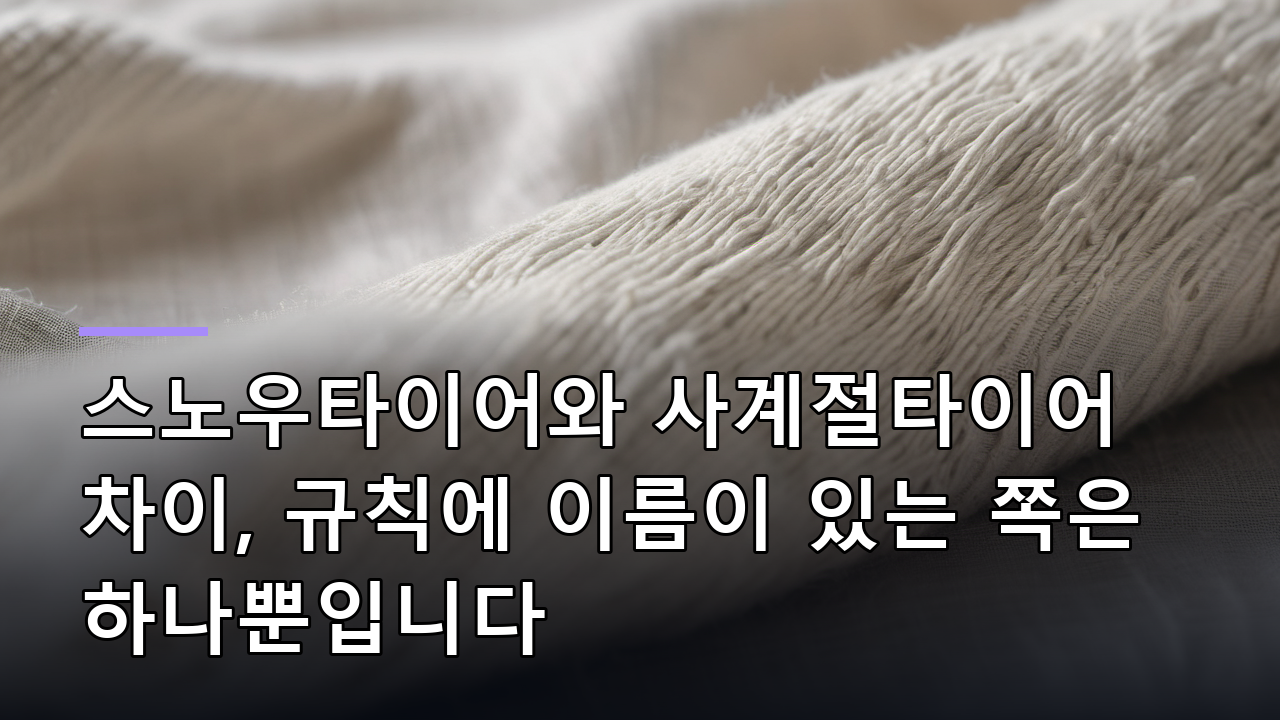 스노우타이어와 사계절타이어 차이, 규칙에 이름이 있는 쪽은 하나뿐입니다