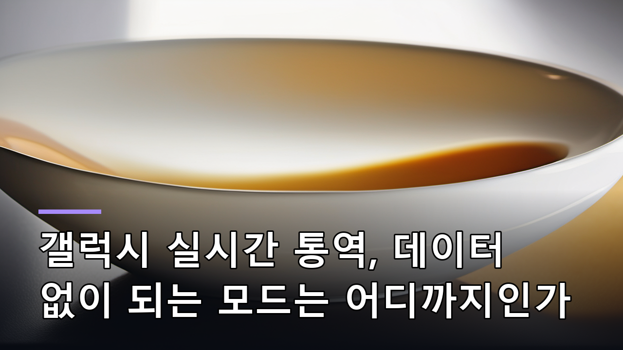 갤럭시 실시간 통역, 데이터 없이 되는 모드는 어디까지인가