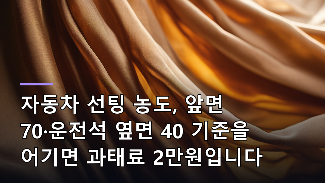 자동차 선팅 농도, 앞면 70·운전석 옆면 40 기준을 어기면 과태료 2만원입니다