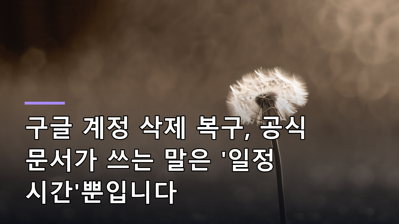 구글 계정 삭제 복구, 공식 문서가 쓰는 말은 '일정 시간'뿐입니다