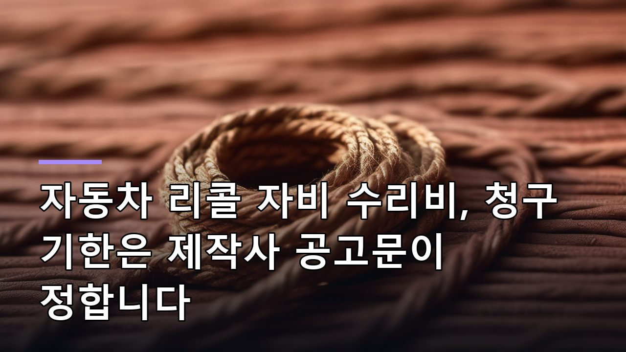 자동차 리콜 자비 수리비, 청구 기한은 제작사 공고문이 정합니다