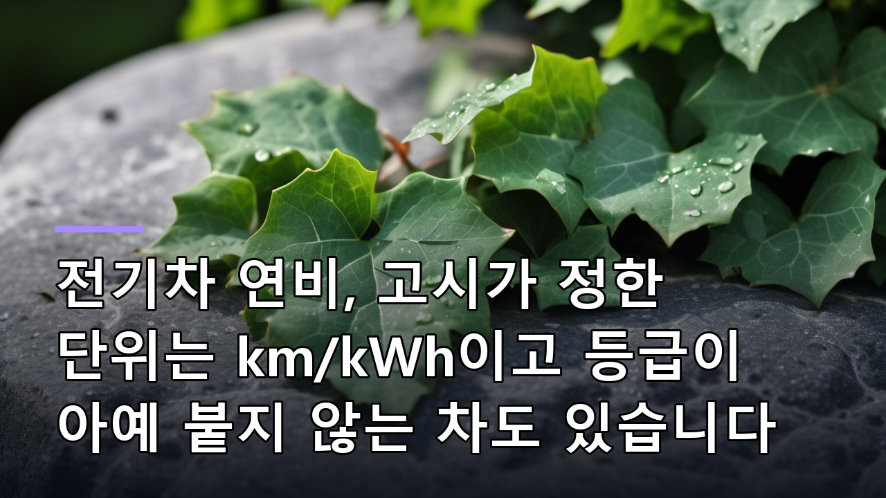 전기차 연비, 고시가 정한 단위는 km/kWh이고 등급이 아예 붙지 않는 차도 있습니다