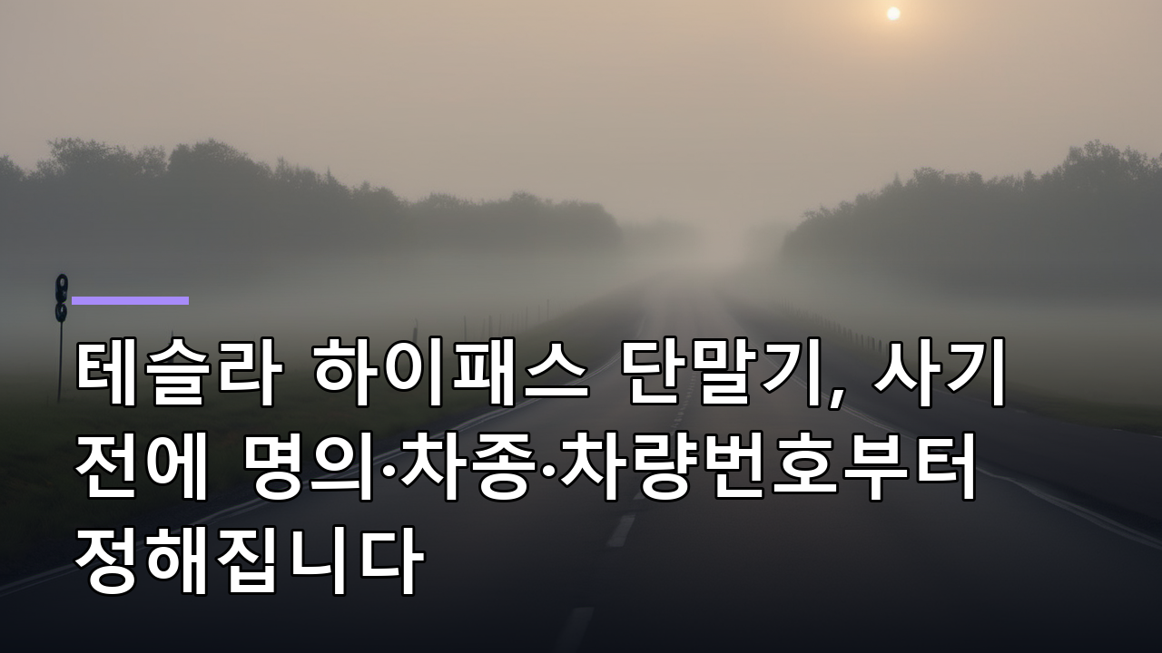 테슬라 하이패스 단말기, 사기 전에 명의·차종·차량번호부터 정해집니다