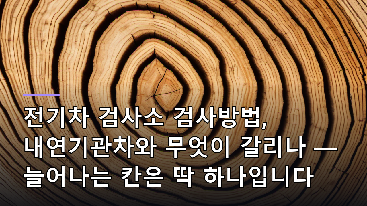 전기차 검사소 검사방법, 내연기관차와 무엇이 갈리나 — 늘어나는 칸은 딱 하나입니다