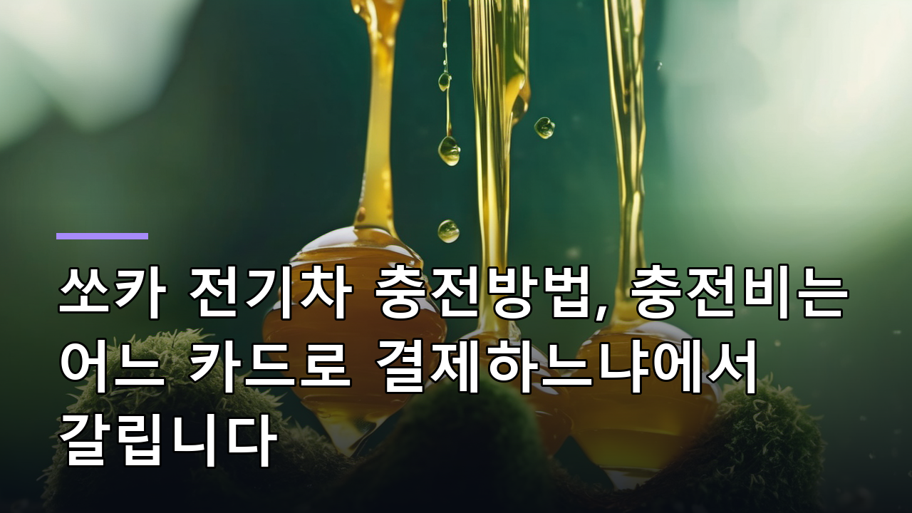 쏘카 전기차 충전방법, 충전비는 어느 카드로 결제하느냐에서 갈립니다