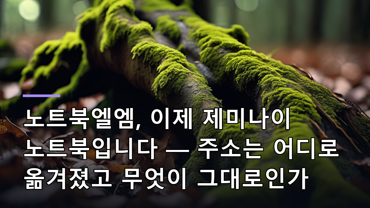 노트북엘엠, 이제 제미나이 노트북입니다 — 주소는 어디로 옮겨졌고 무엇이 그대로인가