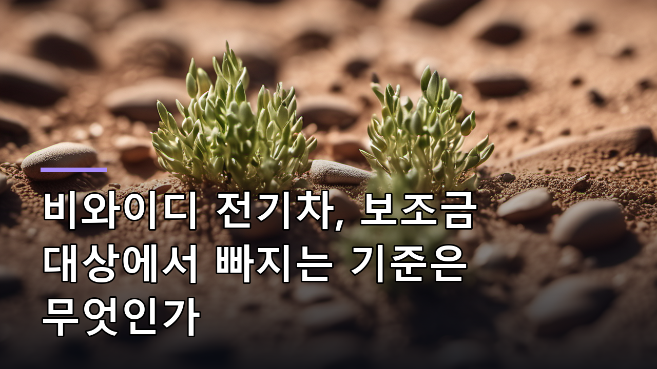 비와이디 전기차, 보조금 대상에서 빠지는 기준은 무엇인가