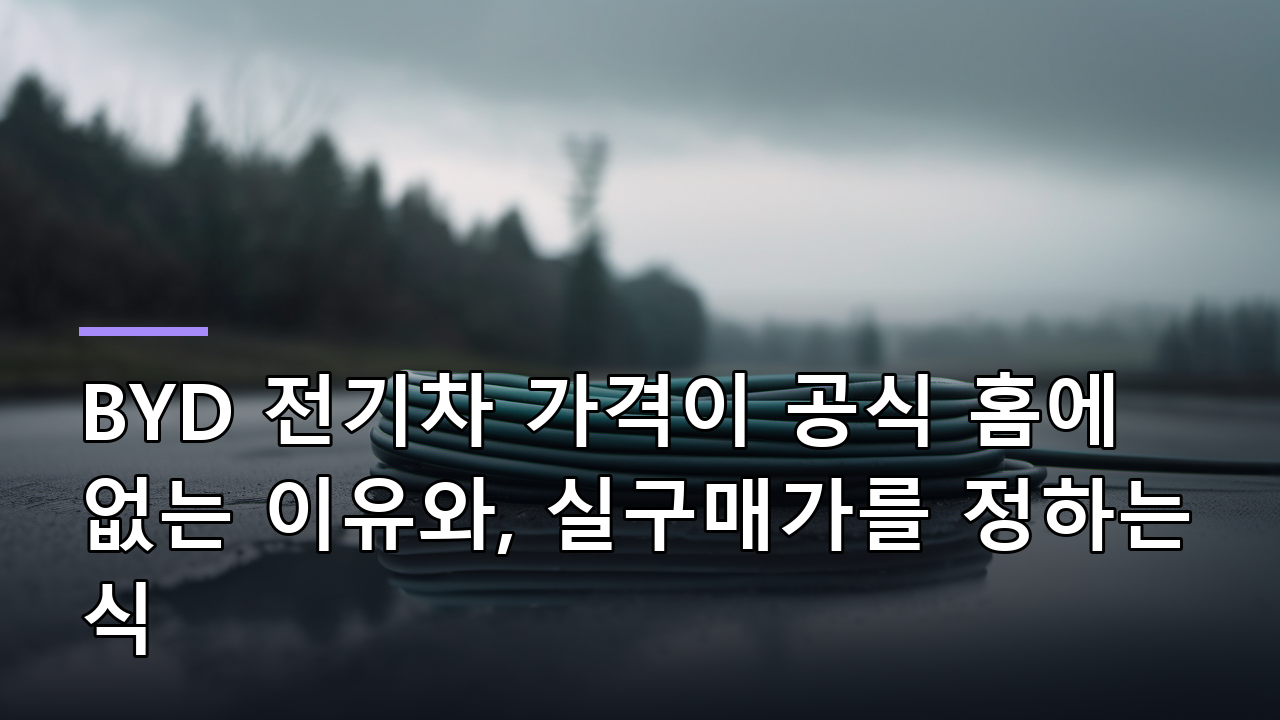 BYD 전기차 가격이 공식 홈에 없는 이유와, 실구매가를 정하는 식